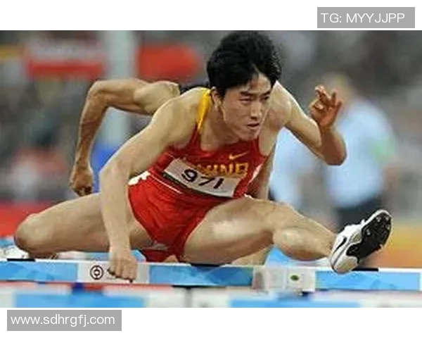 黑龙江体育之星揭晓十大明星运动员排名全解析