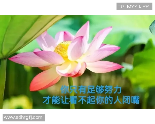 足球明星励志故事分享课件助你了解他们的奋斗与成功之路