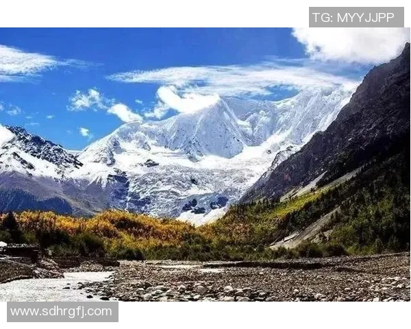 出山足球明星揭晓他们的成就与故事让人惊叹不已