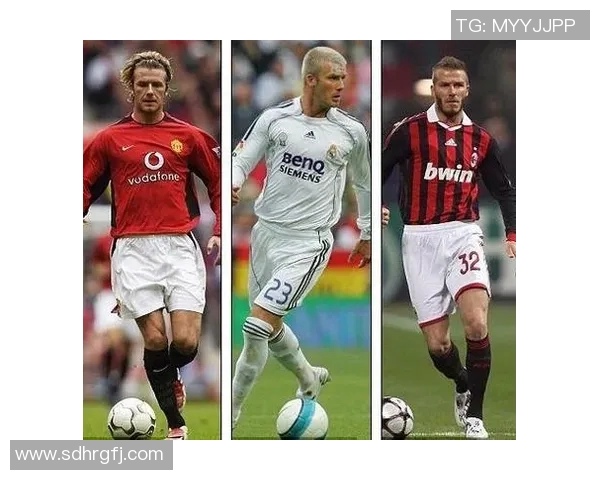 普陀区的足球明星是谁他在足球界的成就与影响力分析